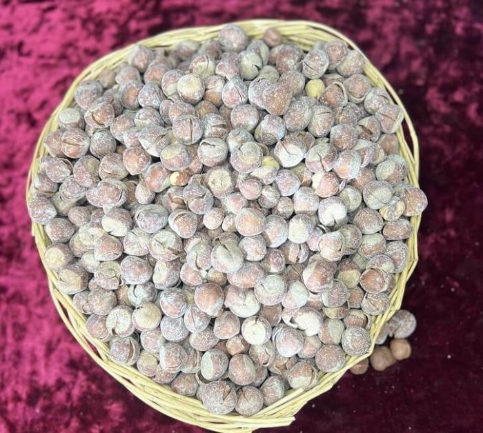 فندق باپوست اعلا(شورکاری) - Image 2