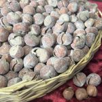 فندق باپوست اعلا(شورکاری)